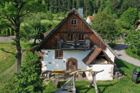 Ferienhaus Schwarzwald Mühle mit Sonnenlage, Natur, Wanderwege